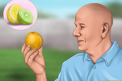 How to Store Citrus Fruit