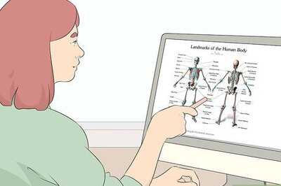 How to Study Anatomy for Art & Drawing