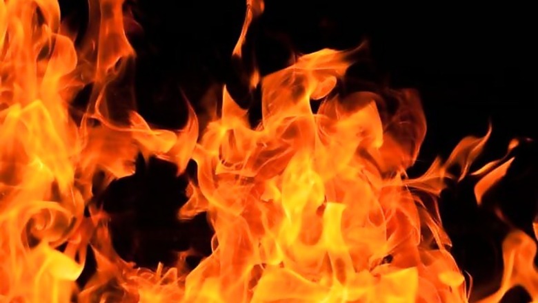 Cat on fire starts New York apartment blaze, two people critical