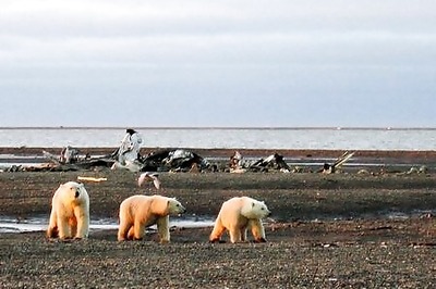 Trump administration approves oil drilling in Alaska wildlife refuge