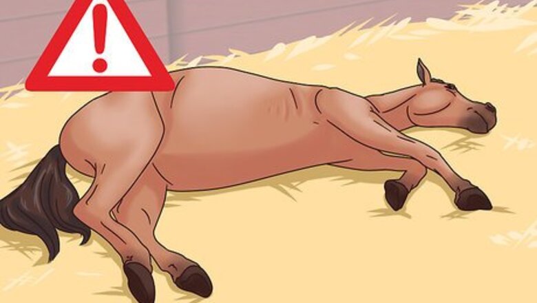 How to Cure Colic in Horses and Ponies