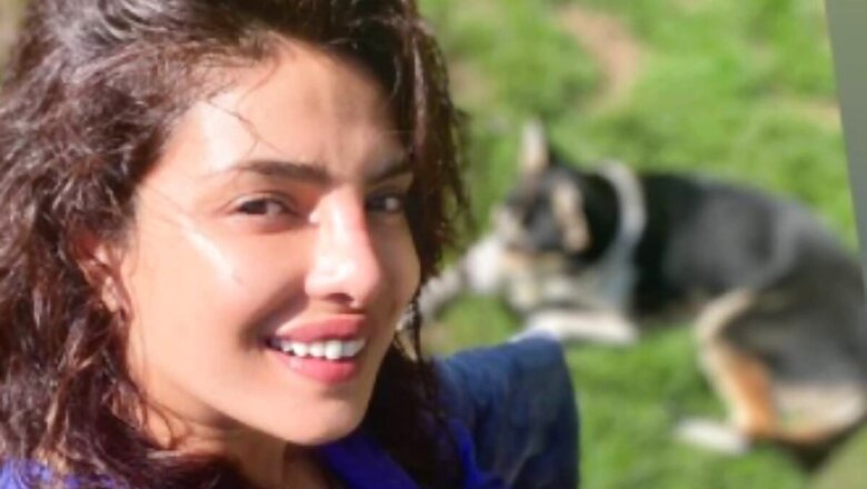 Priyanka Chopra Posts Gorgeous Sun-kissed Picture With Her Adorable Pet Pooch Panda