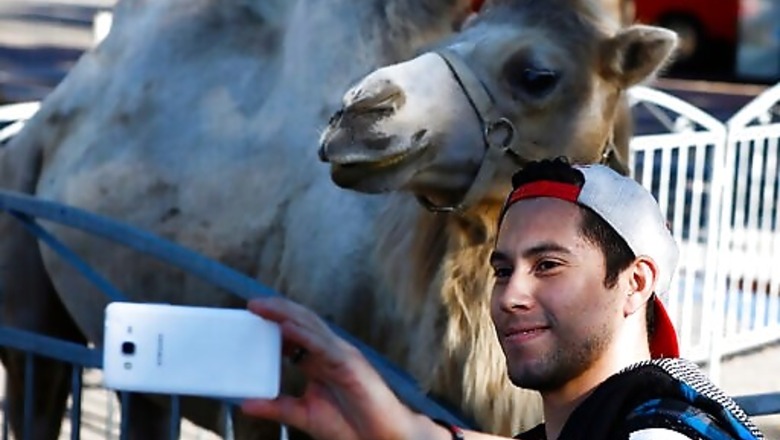 France To Ban Use Of Wild Animals In Circuses, Marine Parks