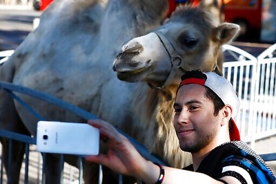 France To Ban Use Of Wild Animals In Circuses, Marine Parks