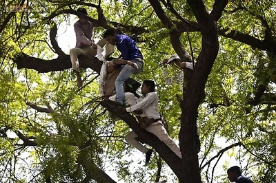 Centre may probe farmer Gajendra Singh's suicide, says Venkaiah Naidu