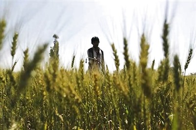 Siraj Hussain takes charge as new Agriculture Secretary