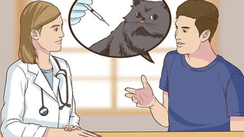 How to Make Sure Your Cat's Vaccinations Are Up to Date