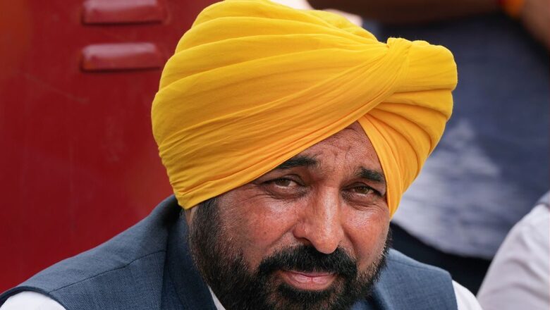 Saddened by Farmer's Death, Action Will Be Taken Against Those Responsible: Bhagwant Mann