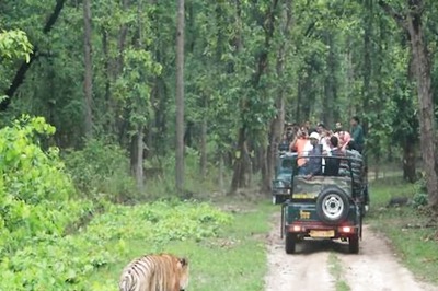 IRCTC’s Special Tour Package For Kanha National Park in Madhya Pradesh