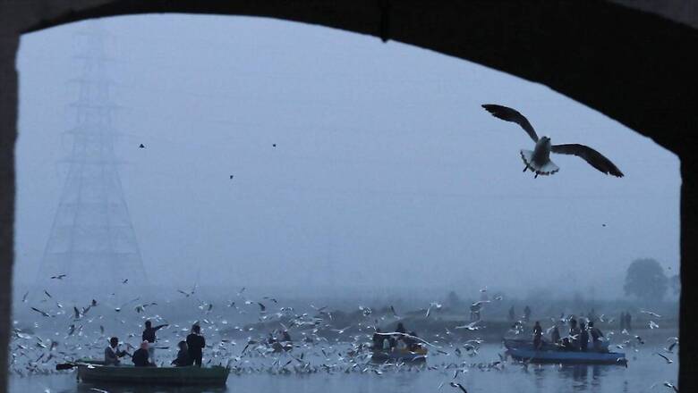 SC Refuses to Entertain Plea on Cleaning of Rivers Ganga, Yamuna