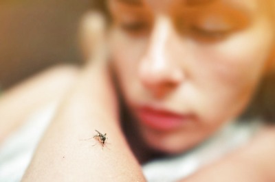 Dengue Alert: 9 Precautions You Should Take To Help Avoid Dengue This Season