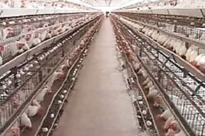 Maharashtra issues travel advisory