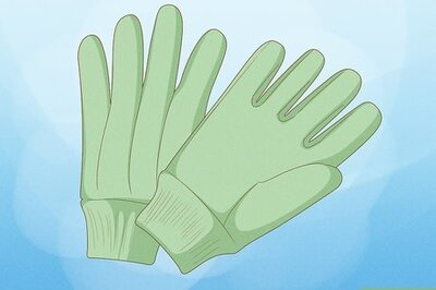 How to Prune Tree Roses