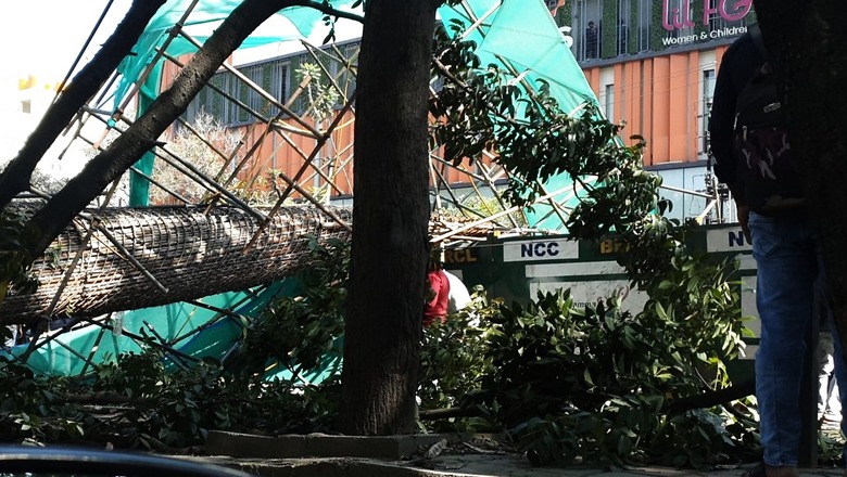 Bengaluru: Woman, 2-Year-Old Son Killed After Metro Pillar Collapses on Bike; Probe Ordered