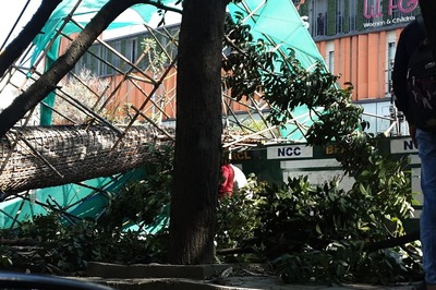 Bengaluru: Woman, 2-Year-Old Son Killed After Metro Pillar Collapses on Bike; Probe Ordered