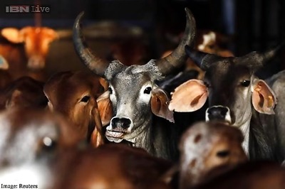 Eating beef not a fundamental right: Maharashtra government tells HC