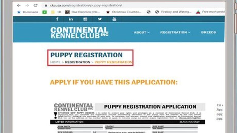 How to Register a Dog with the CKC