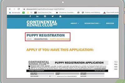 How to Register a Dog with the CKC