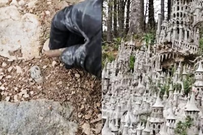 Man Finds Skulls Under His Feet In Forest And This Happened Next