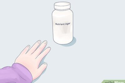 How to Grow Bacteria in a Petri Dish