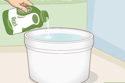 How to Clean Paua Shells