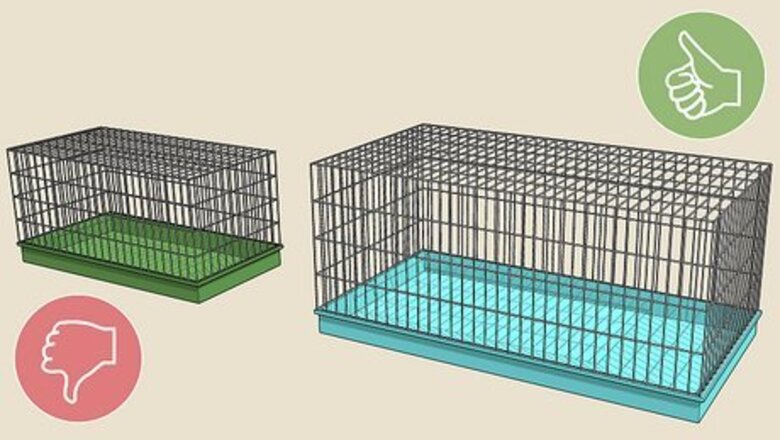 How to Be a Good Hamster Owner (for Kids)