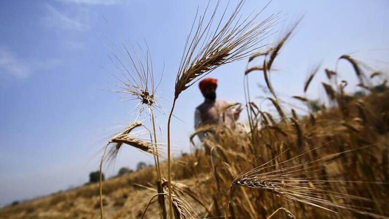 Tamil Nadu government orders curbs on pesticide sale in private retail outlets
