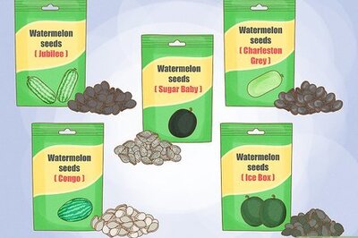 How to Grow Watermelons