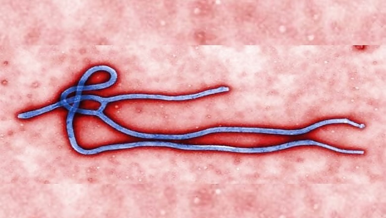 Ebola therapy hopes shift to small California biotech