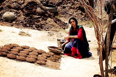 Snapshot: Glam diva Mallika Sherawat goes desi for 'Dirty Politics'