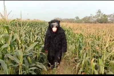 No Monkey Business: These Telangana Farmers Have 'Hired' a Tiger and a Bear to Protect Their Crops