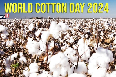 World Cotton Day 2024: Date, History, Significance and Types of Cotton Fabric