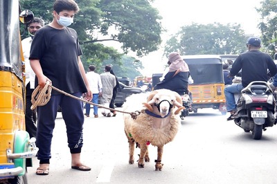 Eid-ul-Adha 2021: How people Brought Animals for Sacrifice on the Eve of Bakrid