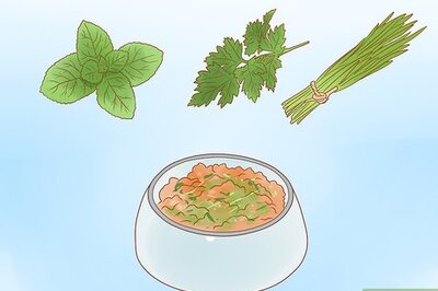 How to Cure a Dog's Bad Breath