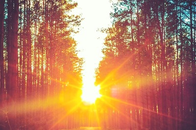 Aaj Ka Panchang, December 12, 2023: Tithi, Vrat, Rahu Kaal, and Other Details