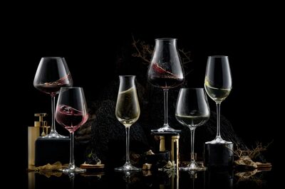 6 Extremely Unique and Fabulously Curated Wine Glasses for a Spectacular Sensory Experience
