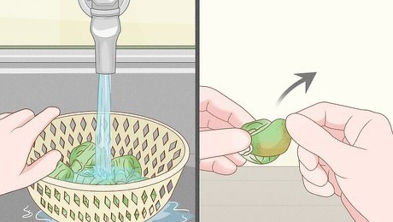 How to Regrow Brussels Sprouts