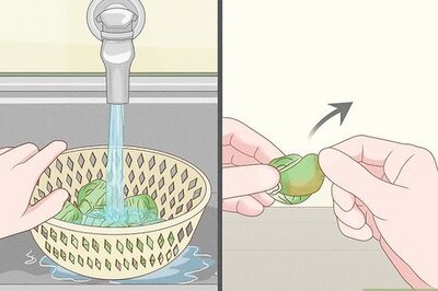 How to Regrow Brussels Sprouts