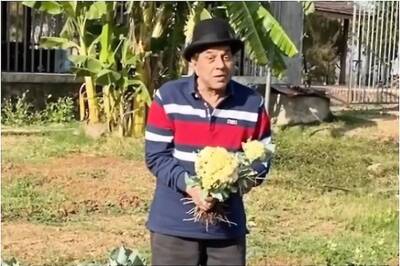 Dharmendra Enjoys Organic Farming, Shares Glimpse on Social Media