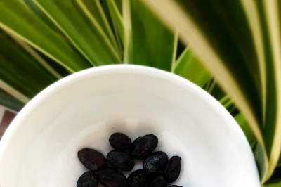 Health Benefits of Black Raisins That You Need To Know