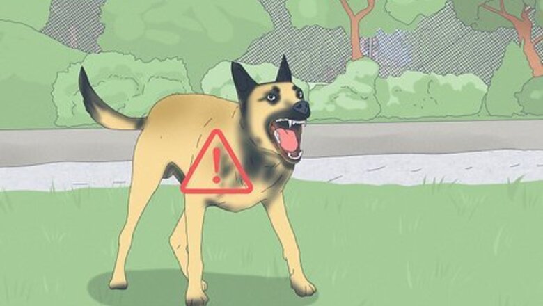 How to Avoid Vicious Dog Attacks on Your Small Dog