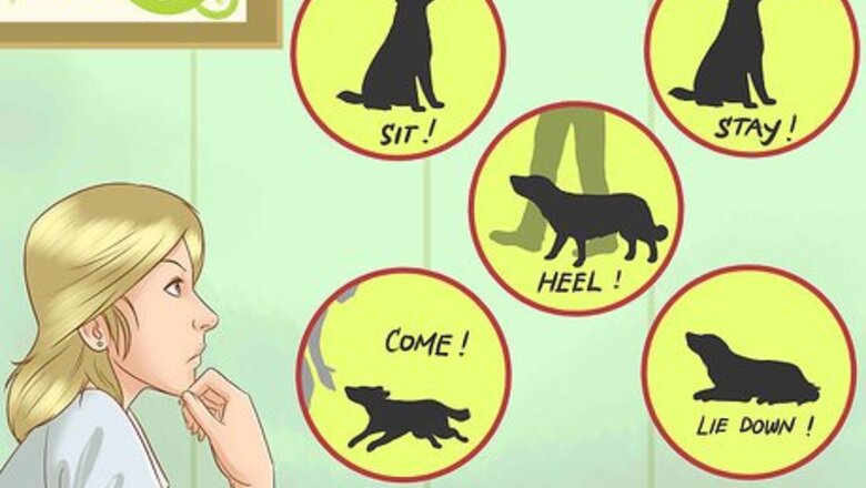 How to Train Your Dog With Silent Signals