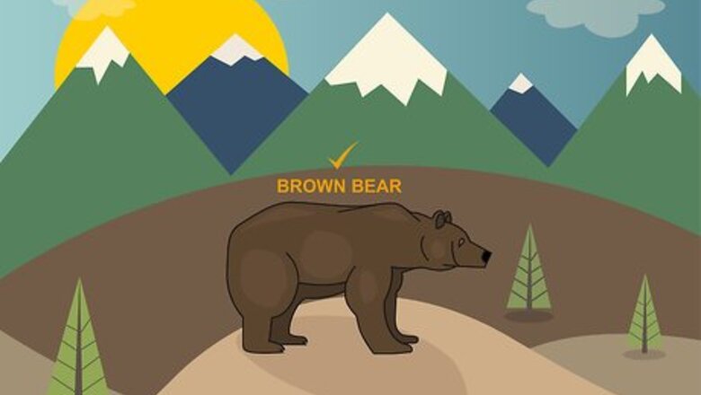 How to Bear Hunt