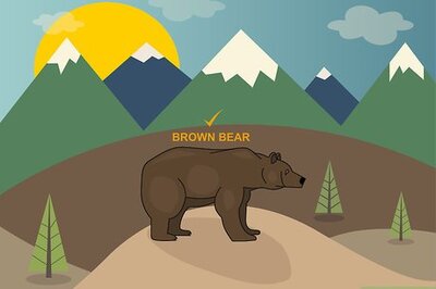 How to Bear Hunt