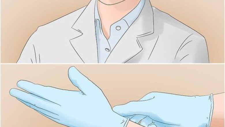 How to Endospore Stain