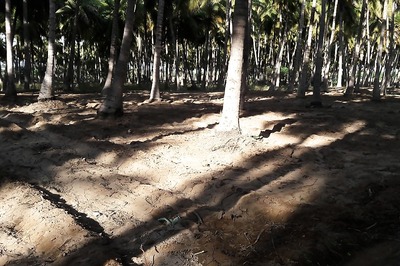 Keezhadi Excavation: Archaeologist Who Found Sangam Era Relics Denied Permit to Talk on Findings in US