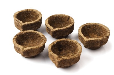 Diwali 2023: Jaipur-based Organisation Makes 3 Lakh 'Diyas' Using Cow Dung