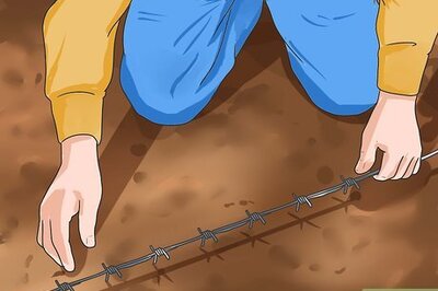 How to Keep Coyotes Away from Campsites or Homesteads