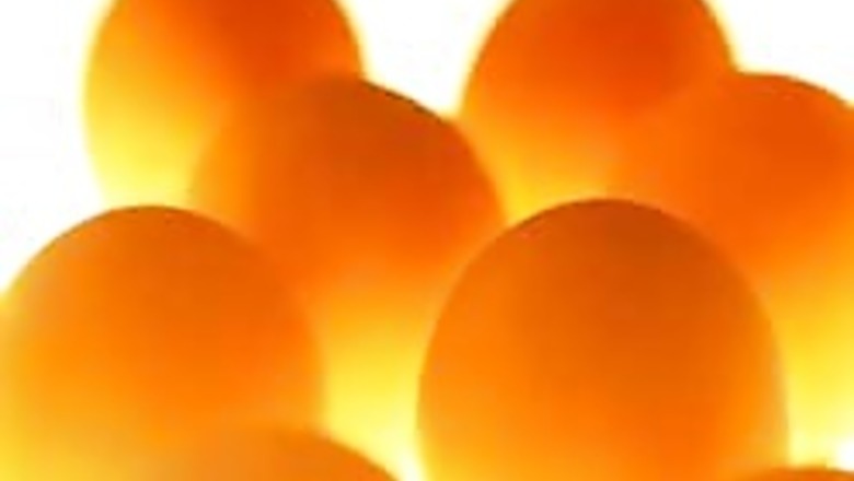 Hen lays green eggs, becomes a celeb