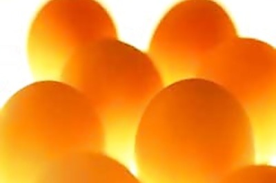 Hen lays green eggs, becomes a celeb